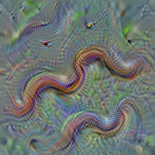 n01728572